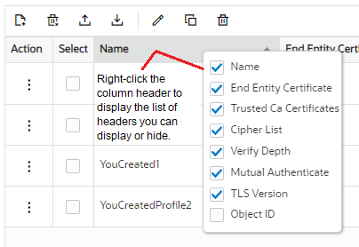 This screen capture shows an example of the menu that displays when you right-click a column header. You can select which items that you want to display or hide. This screen capture shows an example of the menu that displays when you right-click a column header. You can select which items that you want to display or hide.