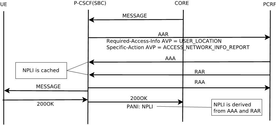 The MT Message with NPLI in AAR/AAA and RAR/RAA within Holding call flow is described above. The MT Message with NPLI in AAR/AAA and RAR/RAA within Holding call flow is described above.