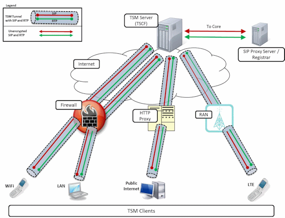 TSM /TSCF Topologies TSM /TSCF Topologies