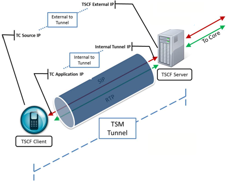 The TSM Tunnel Address Structure diagram is described below. The TSM Tunnel Address Structure diagram is described below.