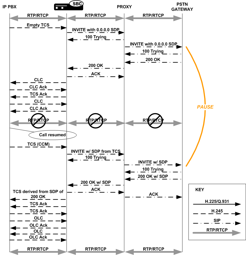 The IWF Hold call flow is described above. The IWF Hold call flow is described above.
