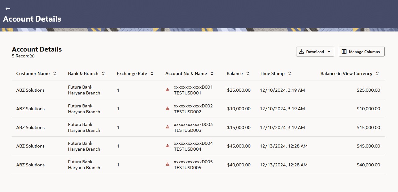 Description of balance-entity-account-details.jpg follows