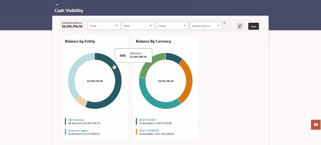 Description of balance-entity.jpg follows