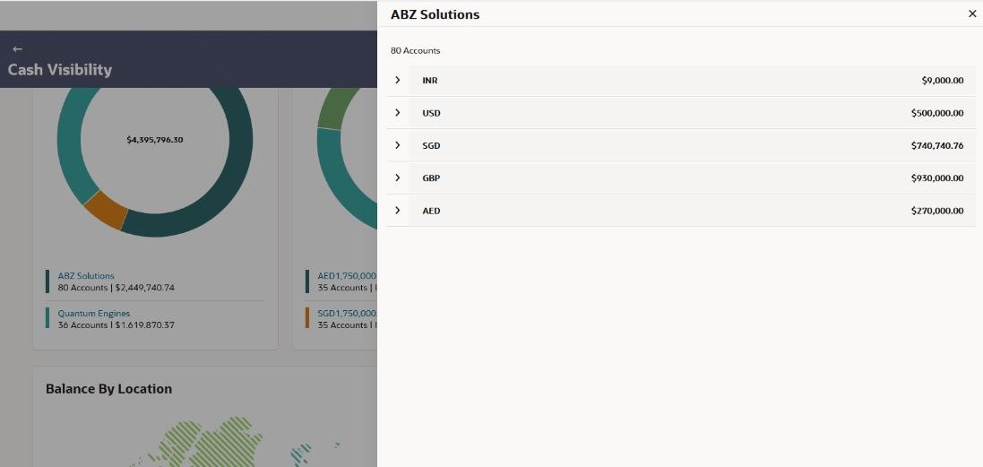 Description of entity-account-wise-balances.jpg follows