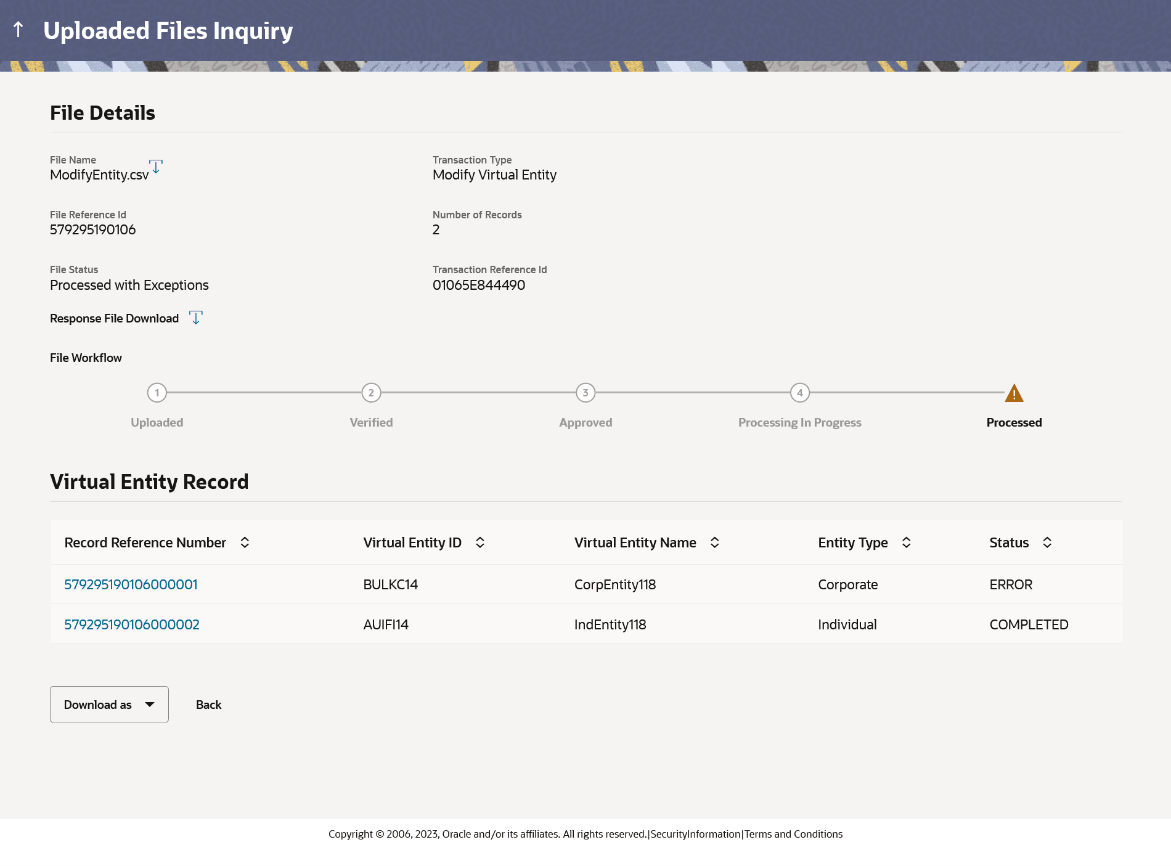 Description of file-details-virtual-entity-modification.png follows