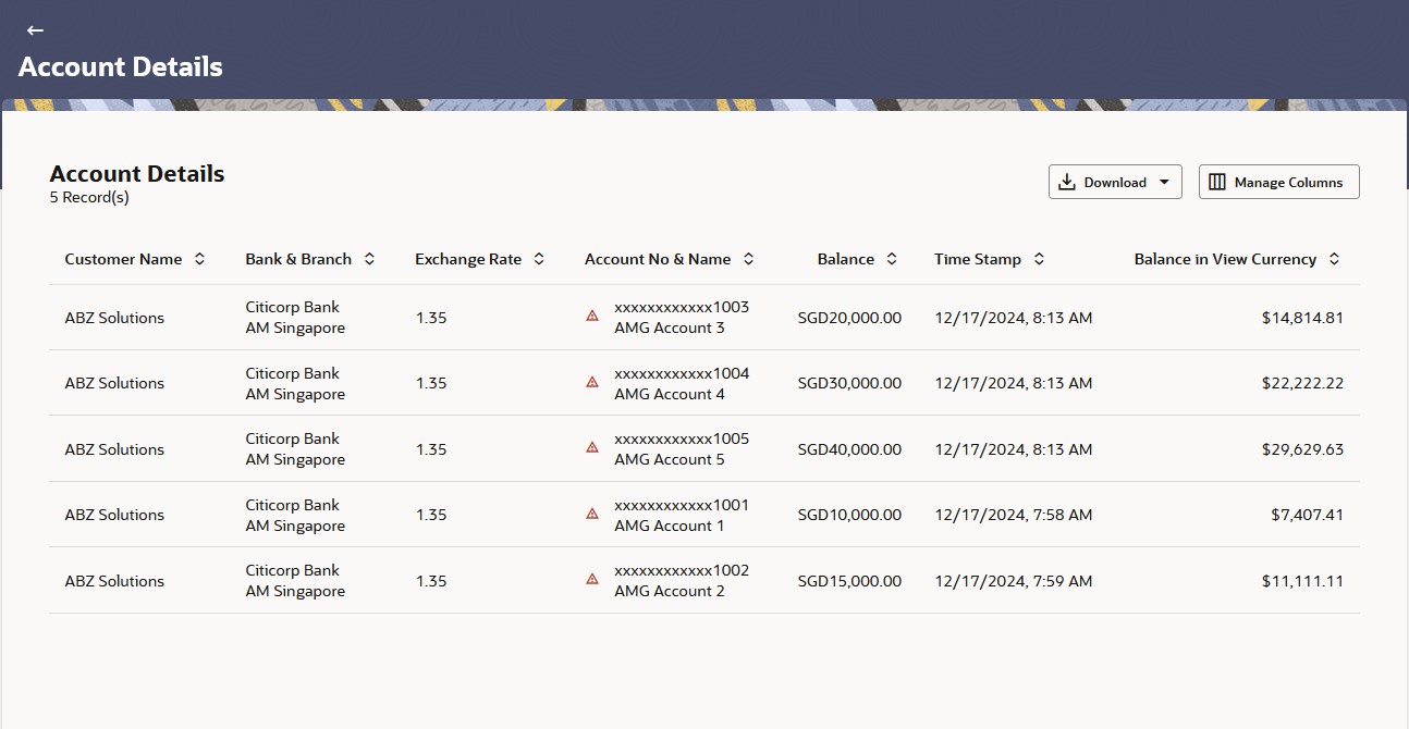 Description of balance-currency-account-details.jpg follows