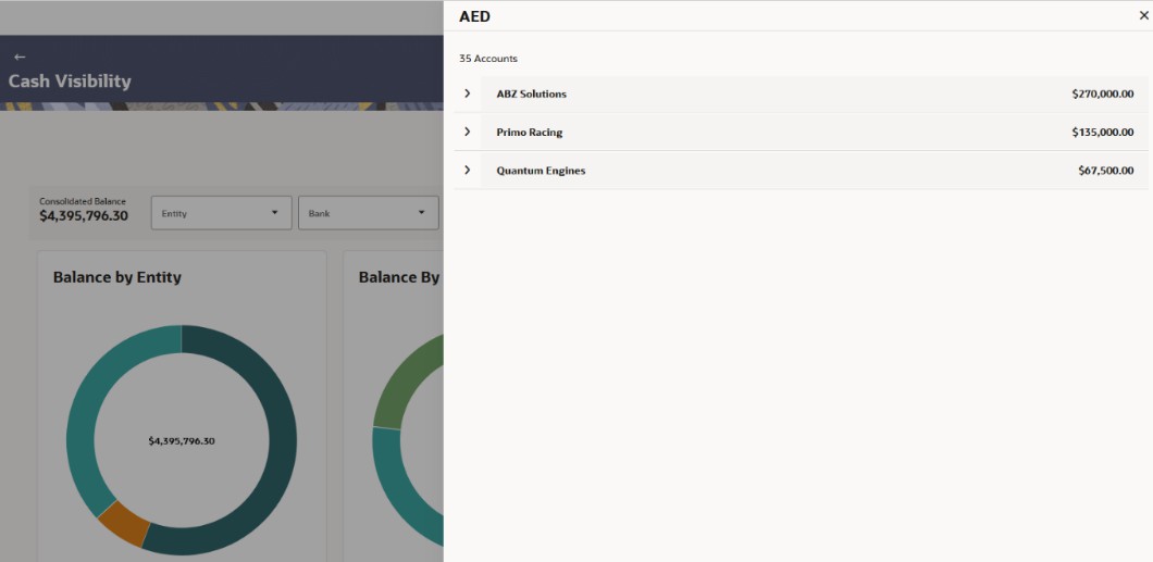 Description of currency-wise-account-balances.jpg follows