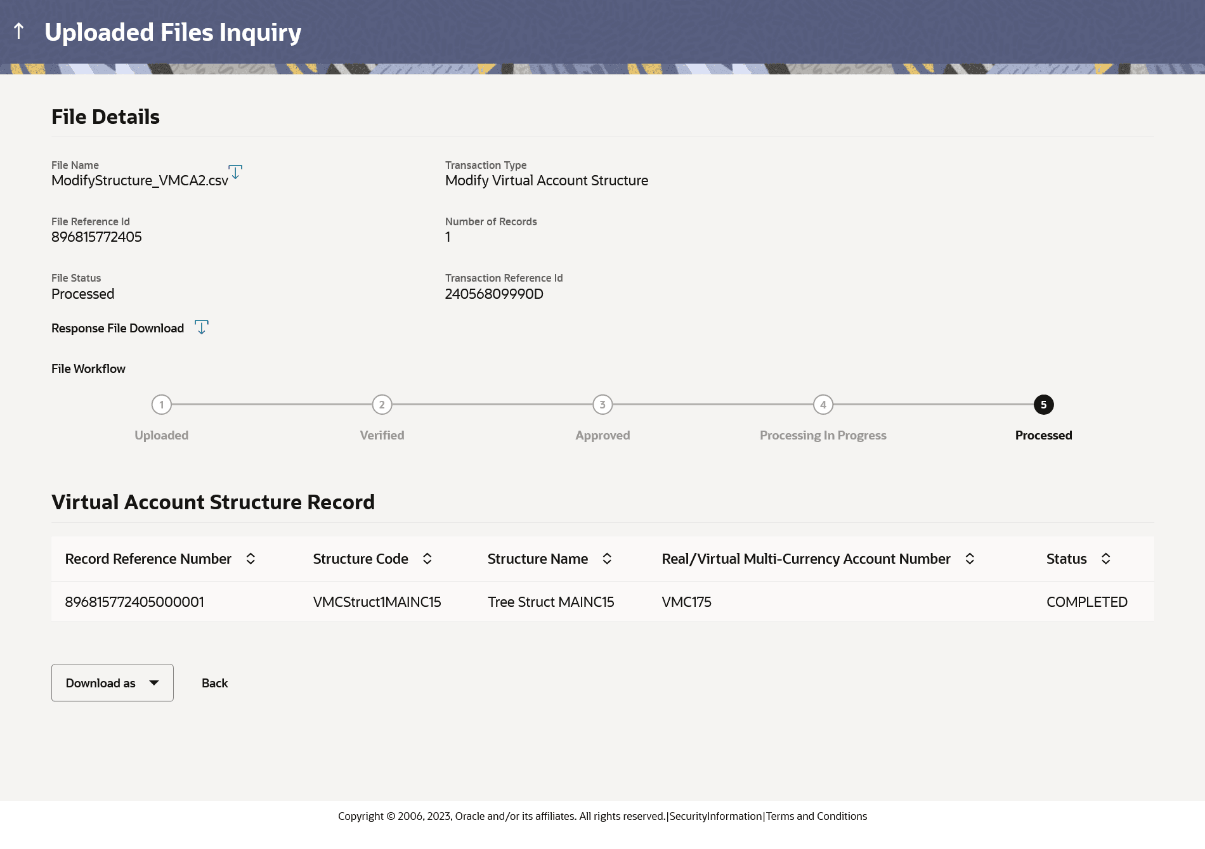 Description of file-details-virtual-accounts-structure-modification.png follows