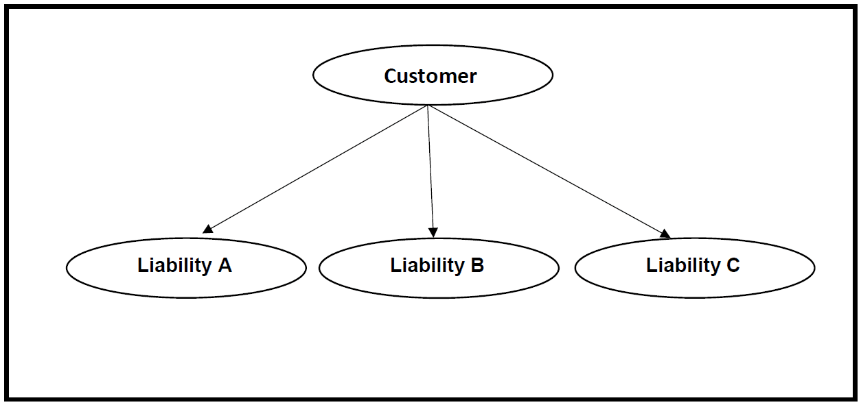 Single customer linked to multiple liabilities
