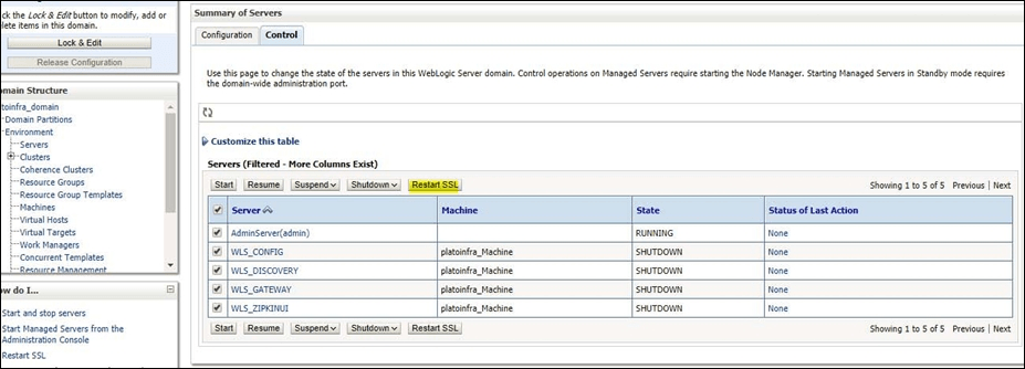 Description of summary-servers.png follows