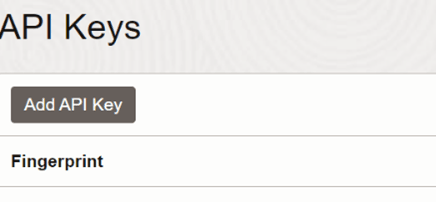 Description of api-key.png follows