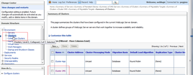 Description of 3.3_cluster-jms.png follows