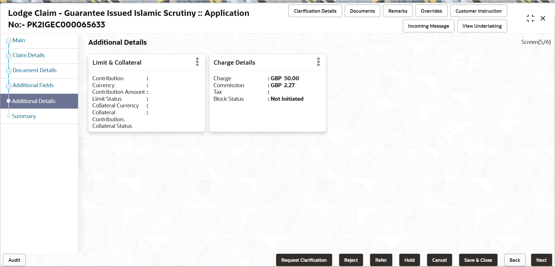 Description of scrutinyadditionaldetails.png follows