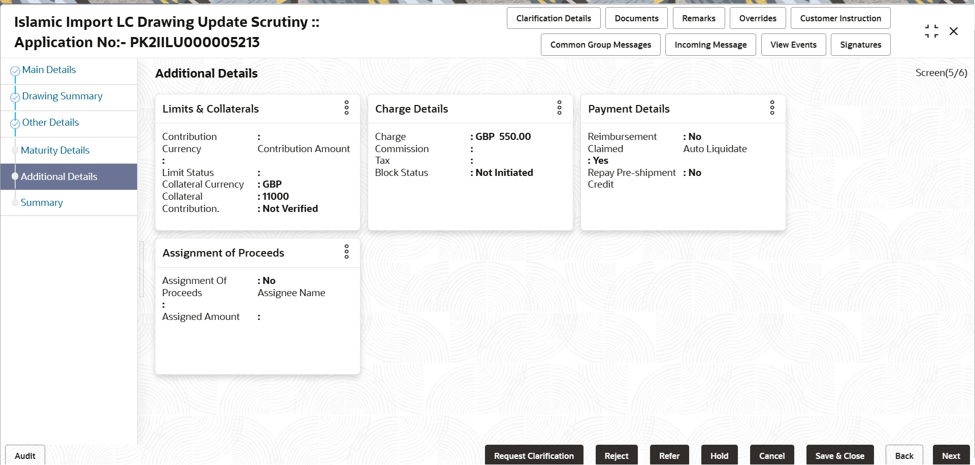 Description of scrutinyadditionaldetails.png follows
