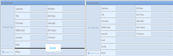 This figure shows the splitter location for a section/field in customized layout.
