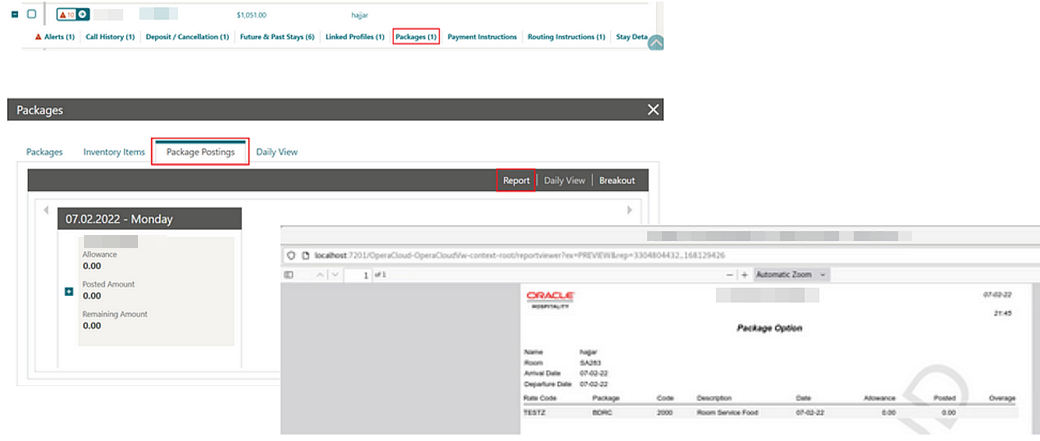 New Report action link opens Package Postings screen.