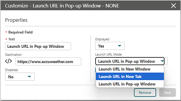 Customize - Launch URL in Pop-up Window screen showing the Launch URL in New Tab option.