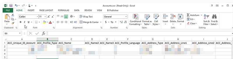This image shows the template used for importing data. This image shows the template used for importing data.