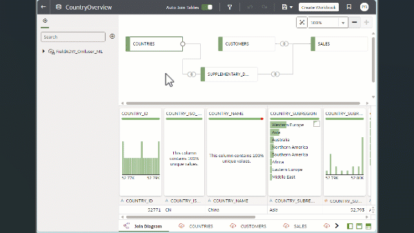 Description of navigating-data-editor-transform-editor-definition-editor.gif follows