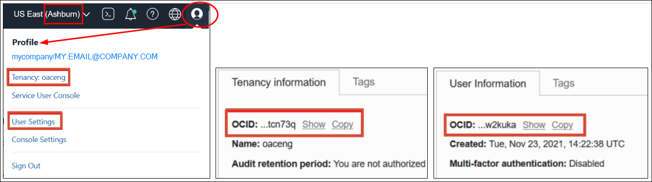 Description of vision-tenancy-ids.png follows Description of vision-tenancy-ids.png follows