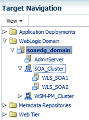 Description of fmwc_soacluster.gif follows Description of fmwc_soacluster.gif follows