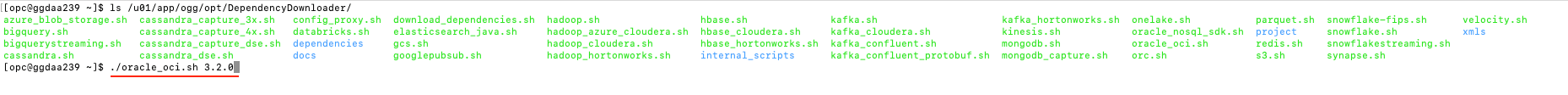 oracle_oci.sh required version