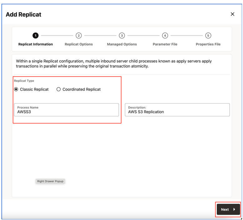 Provide Replicat Options and click Next.