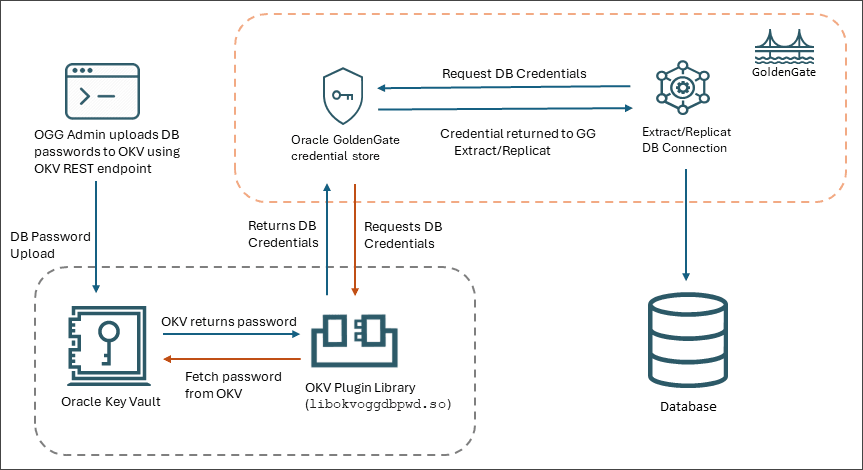 Workflow to depict the process of configuring the plugin service to retrieve database passwords from OKV for Oracle GoldenGate processes.