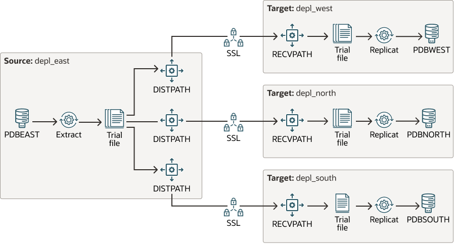 Broadcasting trail data using multiple DISTPATHS.