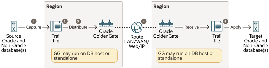 Hub-based configuration for a local Oracle GoldenGate deployment.