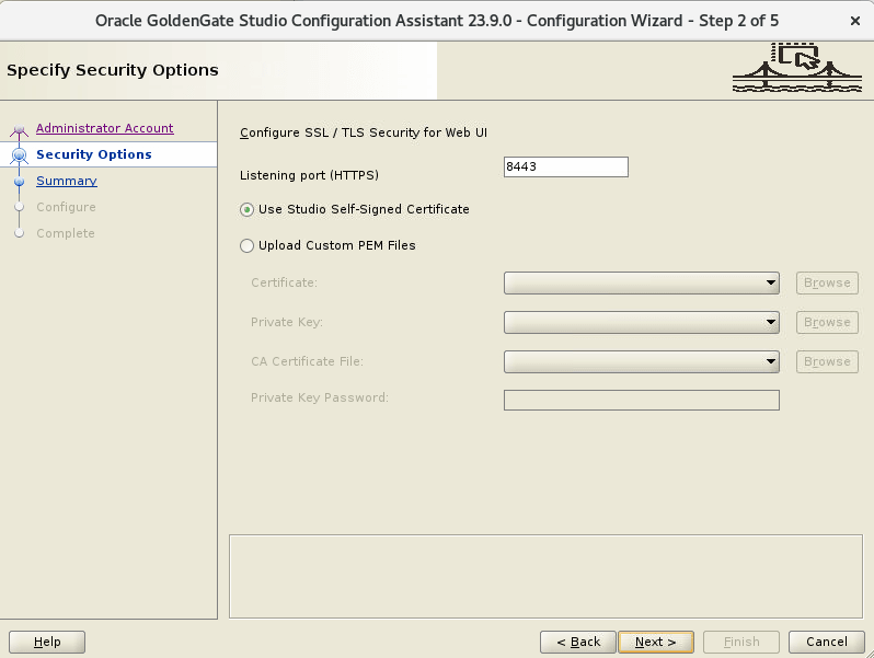 Security options configured in the Specify Security Options screen of the GoldenGate Studio Configuration Wizard