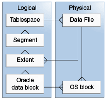 Description of Figure 14-1 follows