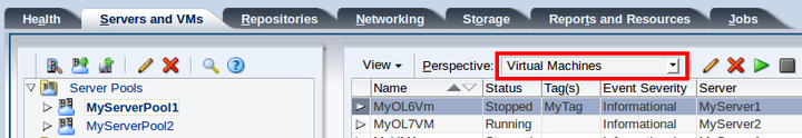 This figure shows the Virtual Machines perspective in the Servers and VMs tab.