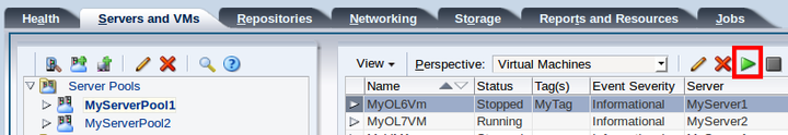 This figure shows the Start icon in the Virtual Machines perspective in the Servers and VMs tab.