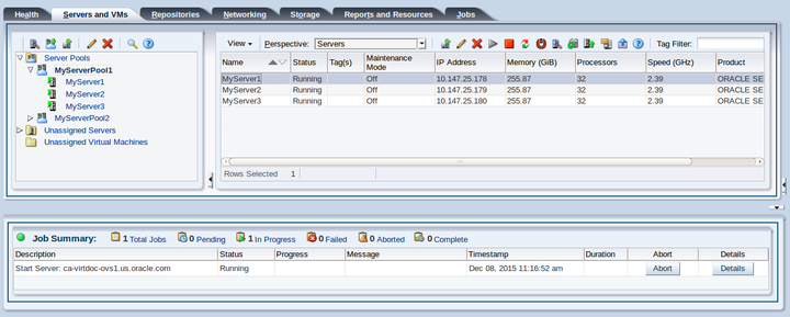 This figure shows the Servers and VMs tab with the Servers perspective displayed.