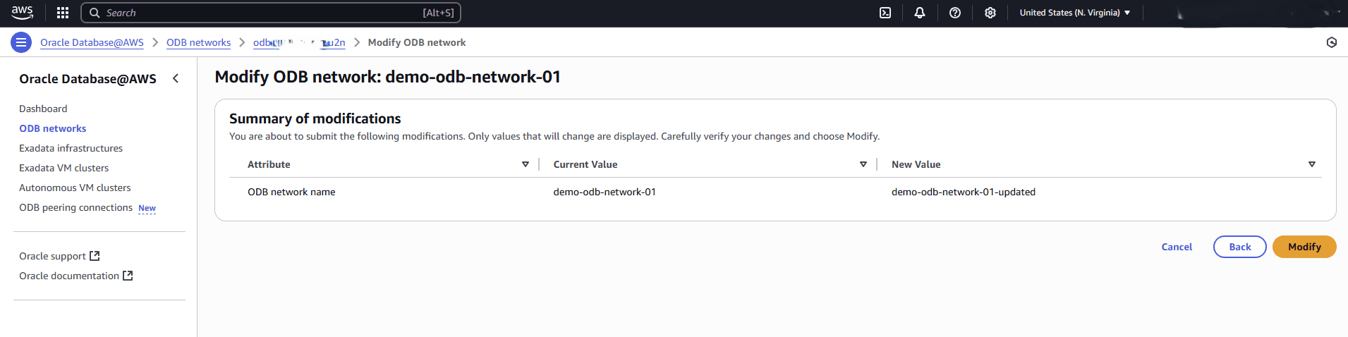 This screenshot shows the last step of modifying an ODB Network. This screenshot shows the last step of modifying an ODB Network.