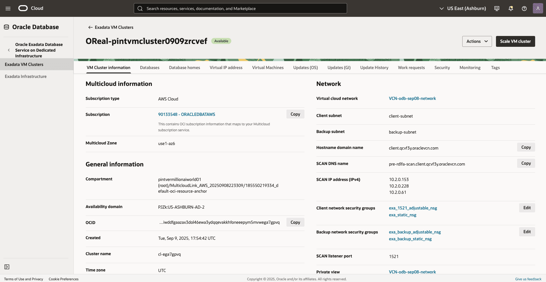 This screenshot shows the VM Cluster details.