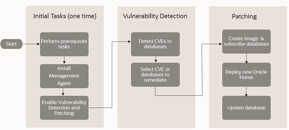 Vulnerability Detection and Patching Flow Vulnerability Detection and Patching Flow