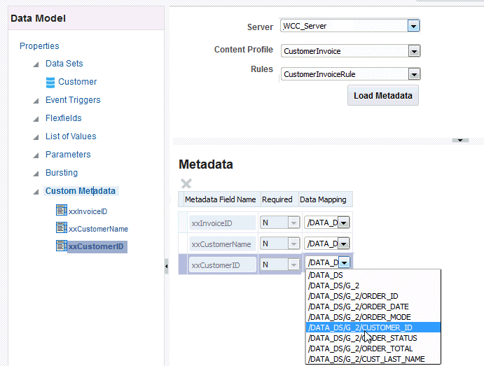 Mapping a metadata field